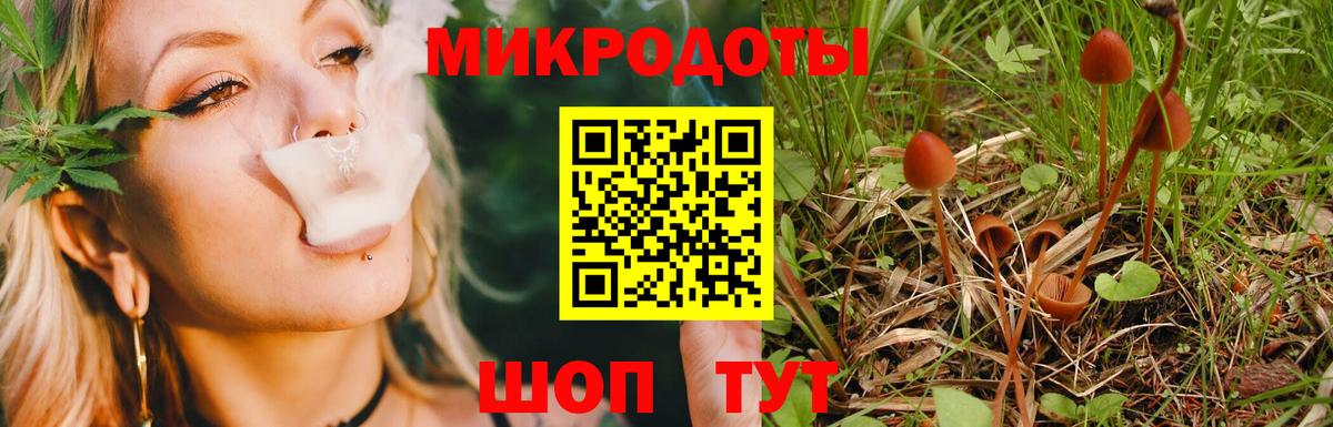 Минусинск  Галлюциногенные грибы прущие грибы  Вход с VPN 